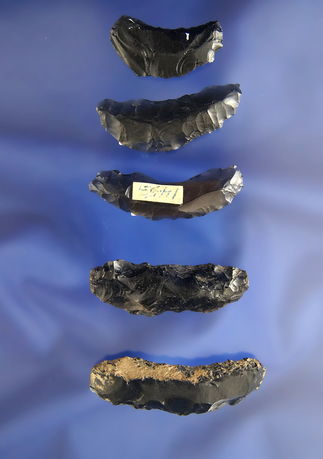 Set of five Obsidian Paleo Crescents found in Nevada by R. D. Mudge, largest is 1 7/8".