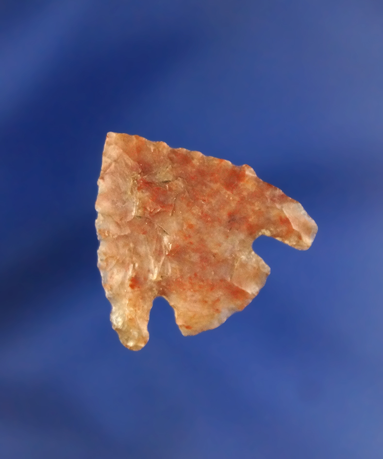 15/16" Hells Canyon Basal Notch - priest Rapids, Columbia River made from attractive material.