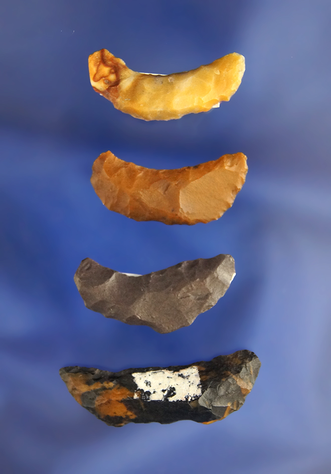 Set of four Paleo Obsidian Crescents found in Nevada by R. D. Mudge, largest is 1 1/2".
