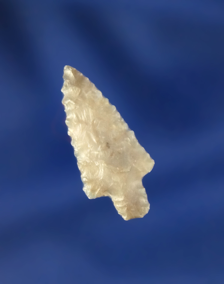 Beautiful micro serrations along the edges on this 7/8" Wallula found near the Columbia River.