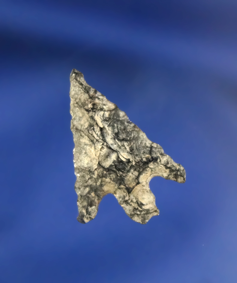 1" Columbia Plateau made from heavily patinated Obsidian, found in Oregon.