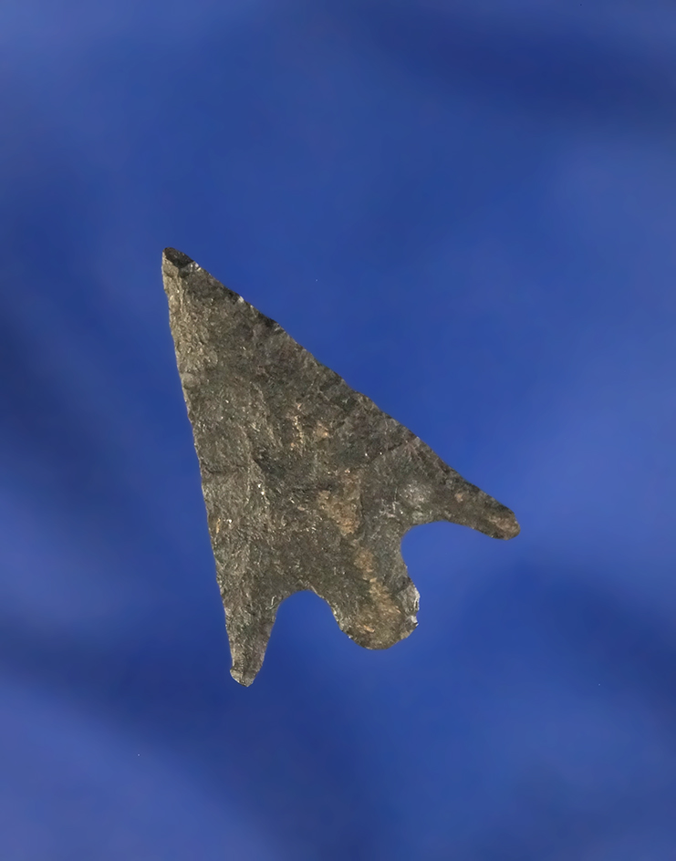 Thin with incredible flaking, 15/16" Columbia Plateau found near the Columbia River.