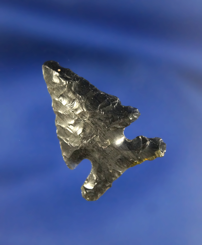 1 1/4" Bitterroot made from Obsidian, found in Oregon.