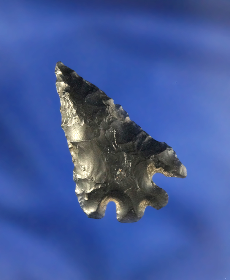 1 1/4" Obsidian Elko Split Stem found by Terri Baldridge in the Tule Lake Basin, California.