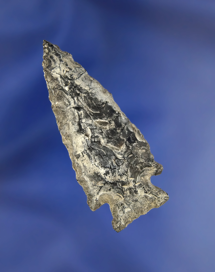 2 1/4" Elko Corner Notched made from heavily patinated Obsidian, found in Oregon.