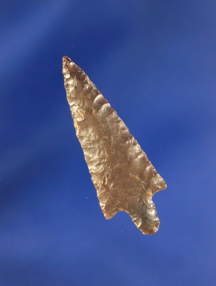 Exceptionally thin and well flaked 1 1/4" Rabbit Island - John Day Rapids, Klickitat County Washingt