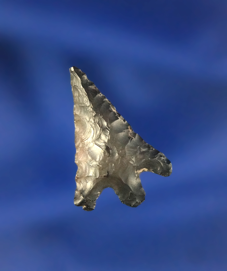 7/8" Gunther that is nicely patinated in found near the Columbia River, Oregon.