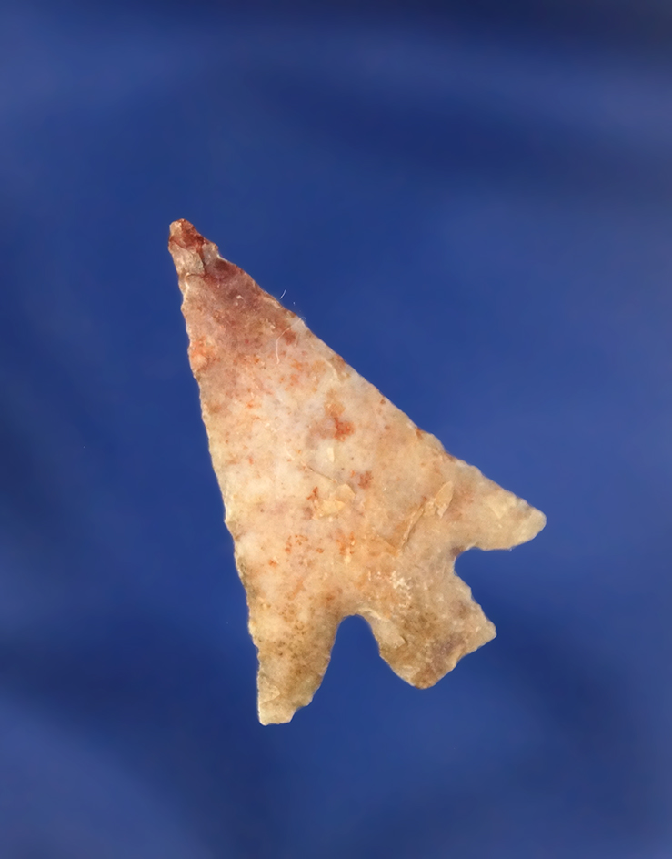 1 3/16" Columbia Plateau found near Quinton Oregon on June 18, 1966 by Kaye Don Bruce.