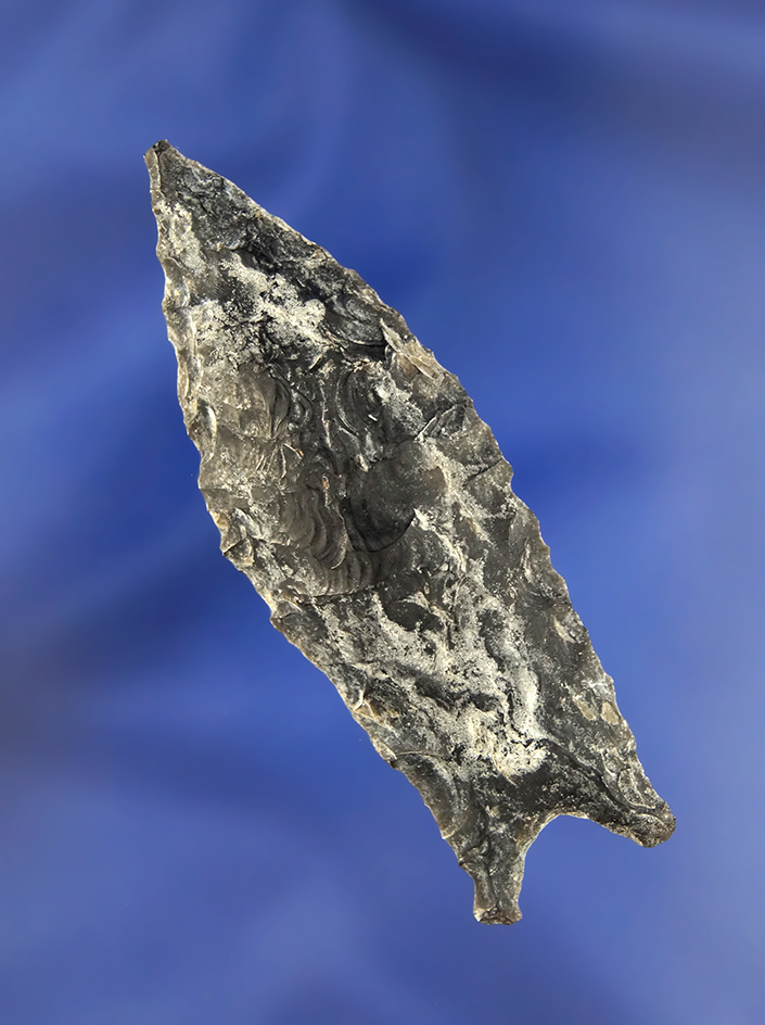 2 11/16" Buchanan Eared heavily patinated Obsidian found in Oregon.