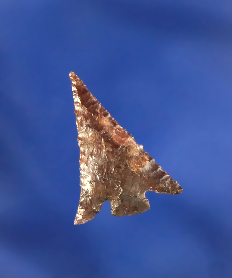 15/16" Columbia Plateau found near Jeager Island in 1967 by Kaye Don Bruce.