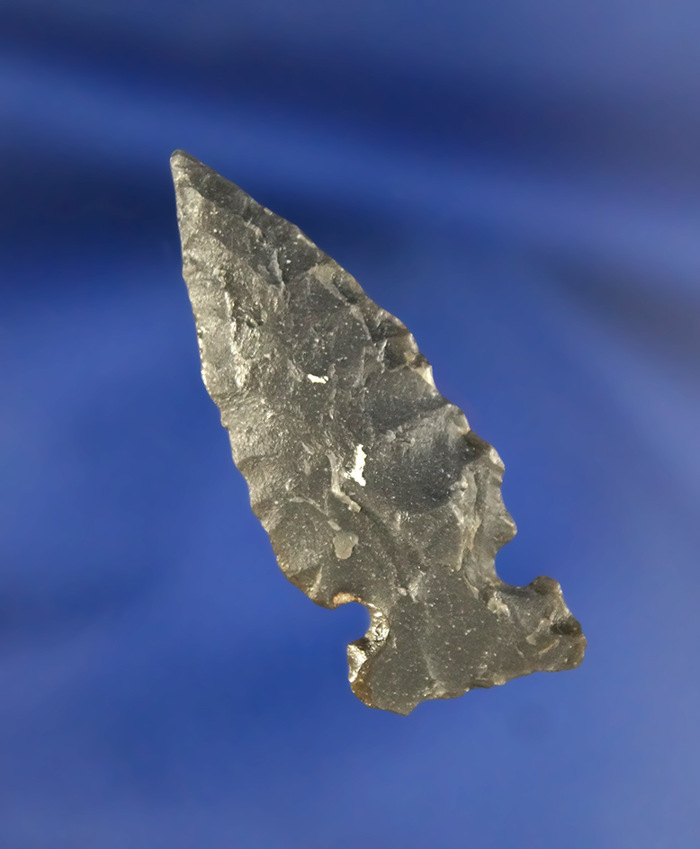 1 11/16" Cold Springs found in Oregon.