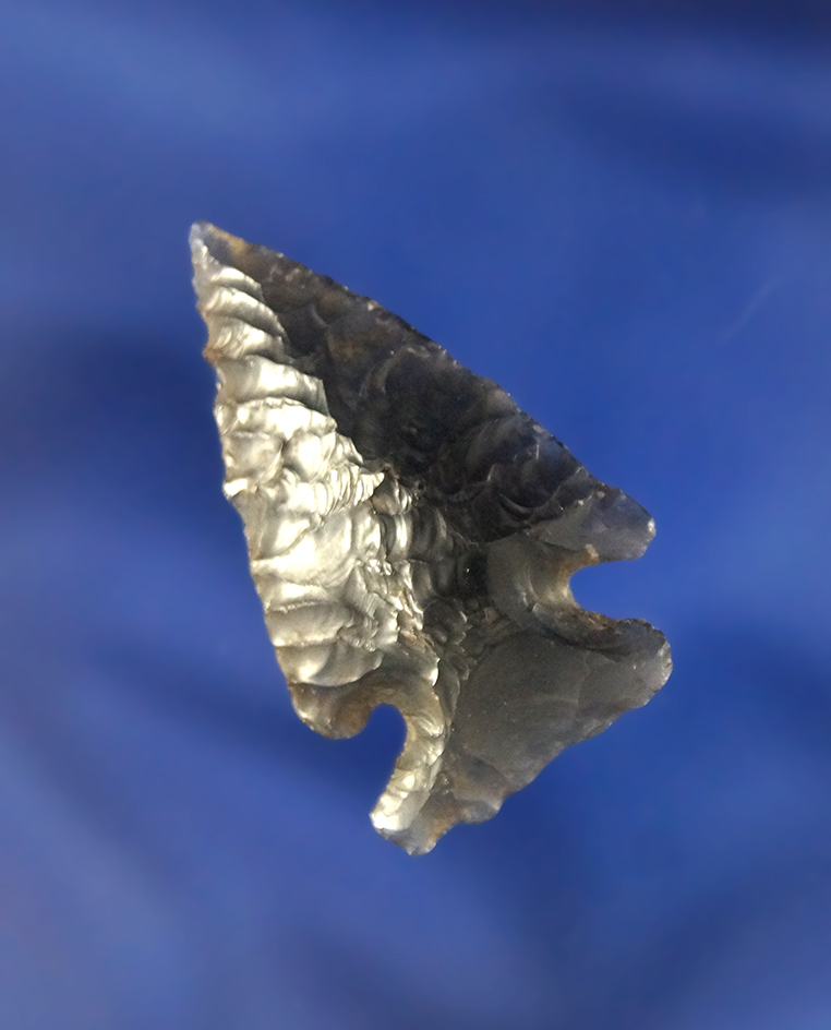 1 1/8" semi translucent Obsidian Elko Corner Notched that is well flaked - Tule Lake Basin, Californ