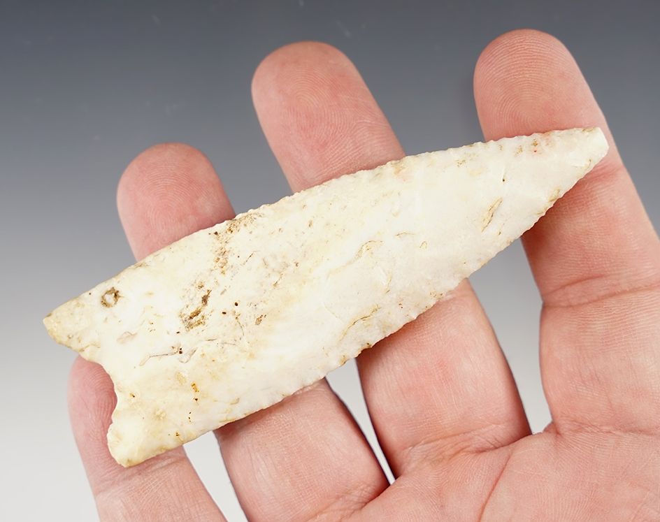 Fine 3 13/16" Dalton found in Pike Co., Illinois. Comes with a Motley COA.