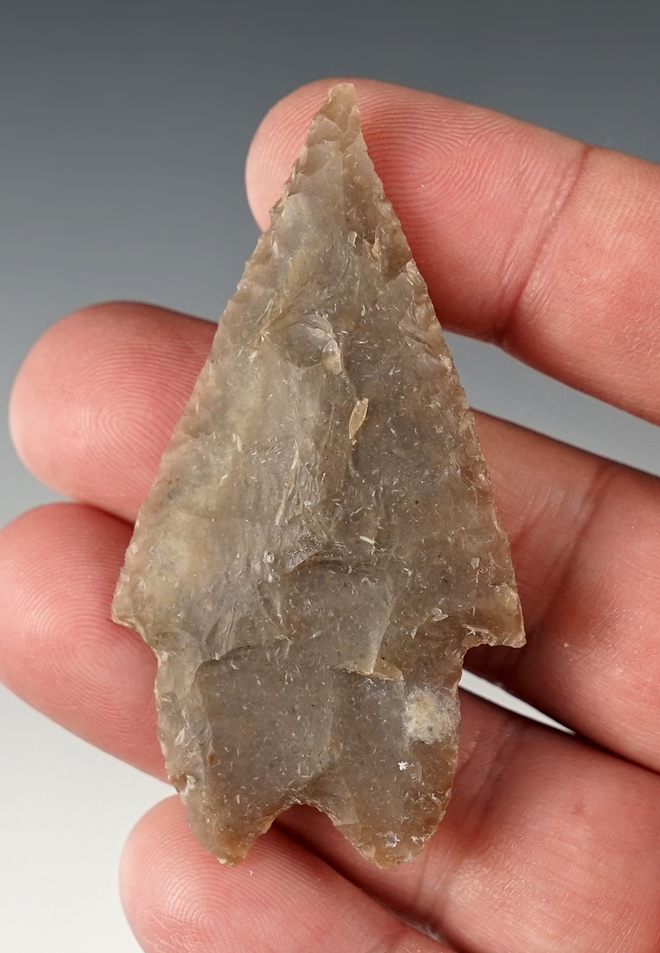 Ex. Museum! Fine 2 5/8" Texas Pedernales in great condition. Ex. Ferrell collection.