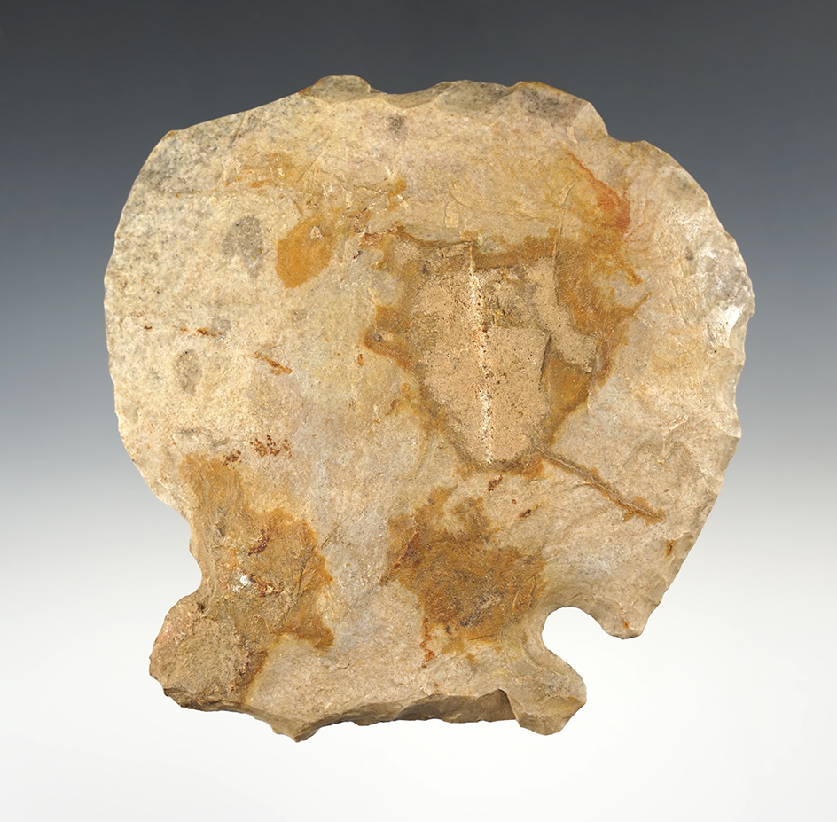 4 7/8" Notched Hoe found in Missouri.