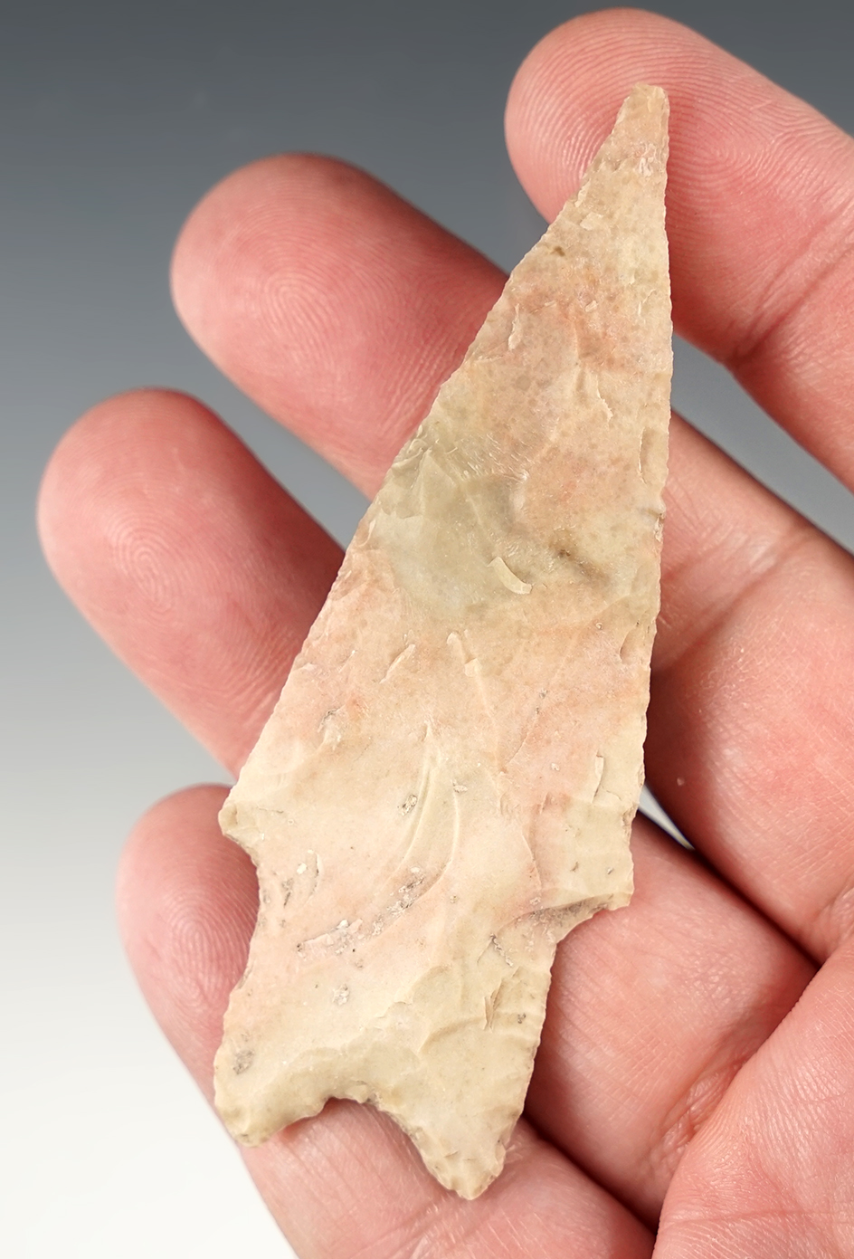 Colorful 3 3/8" Pedernales found in Uvalde Co., Texas. Comes with a Rogers COA.