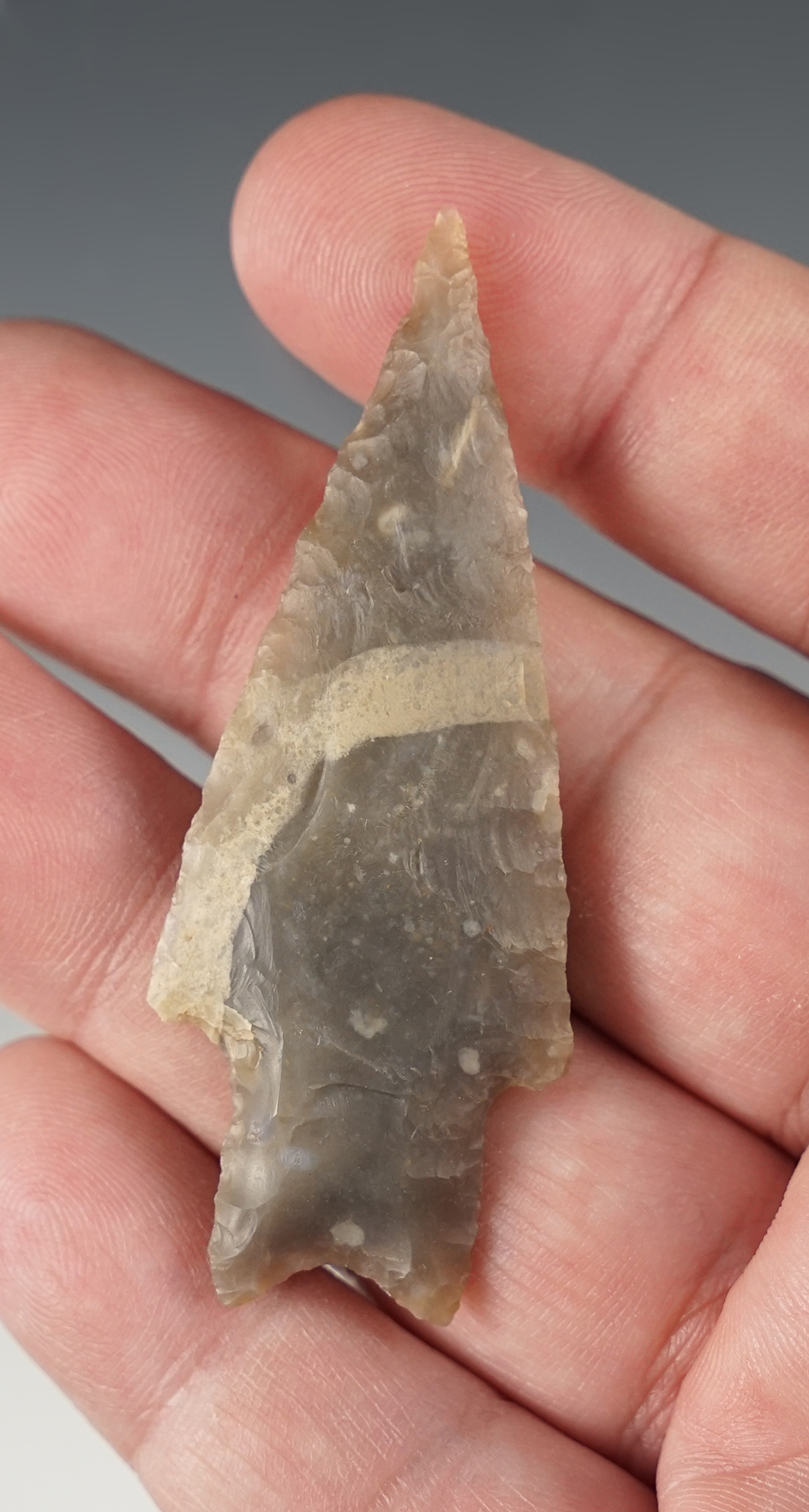 2 5/8" Texas Pedernales in excellent condition. Made from semi-translucent flint.