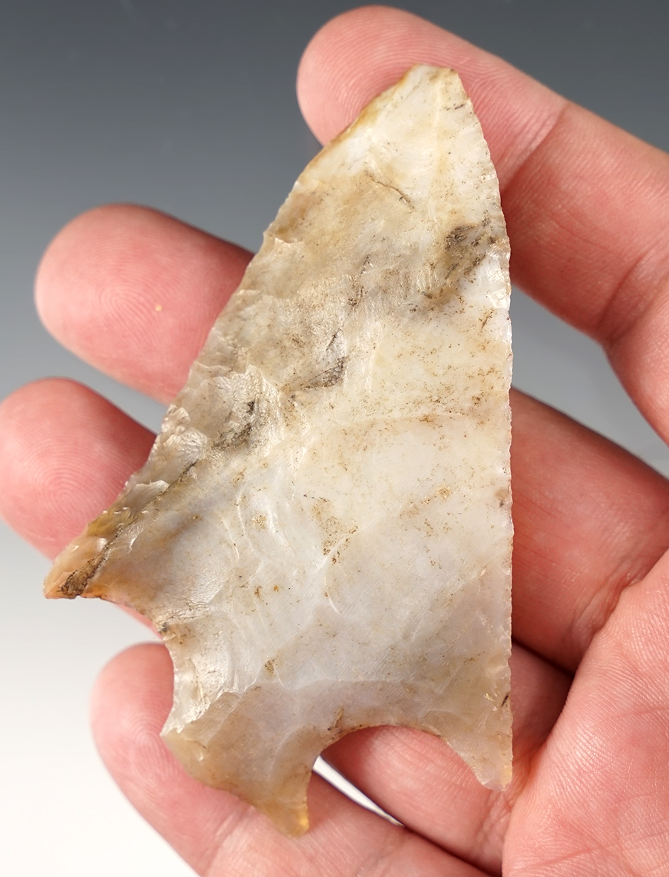 3 1/4" Pickwick made from Fossilized Coral. Found in Suwannee Co., Florida. Dickey COA.