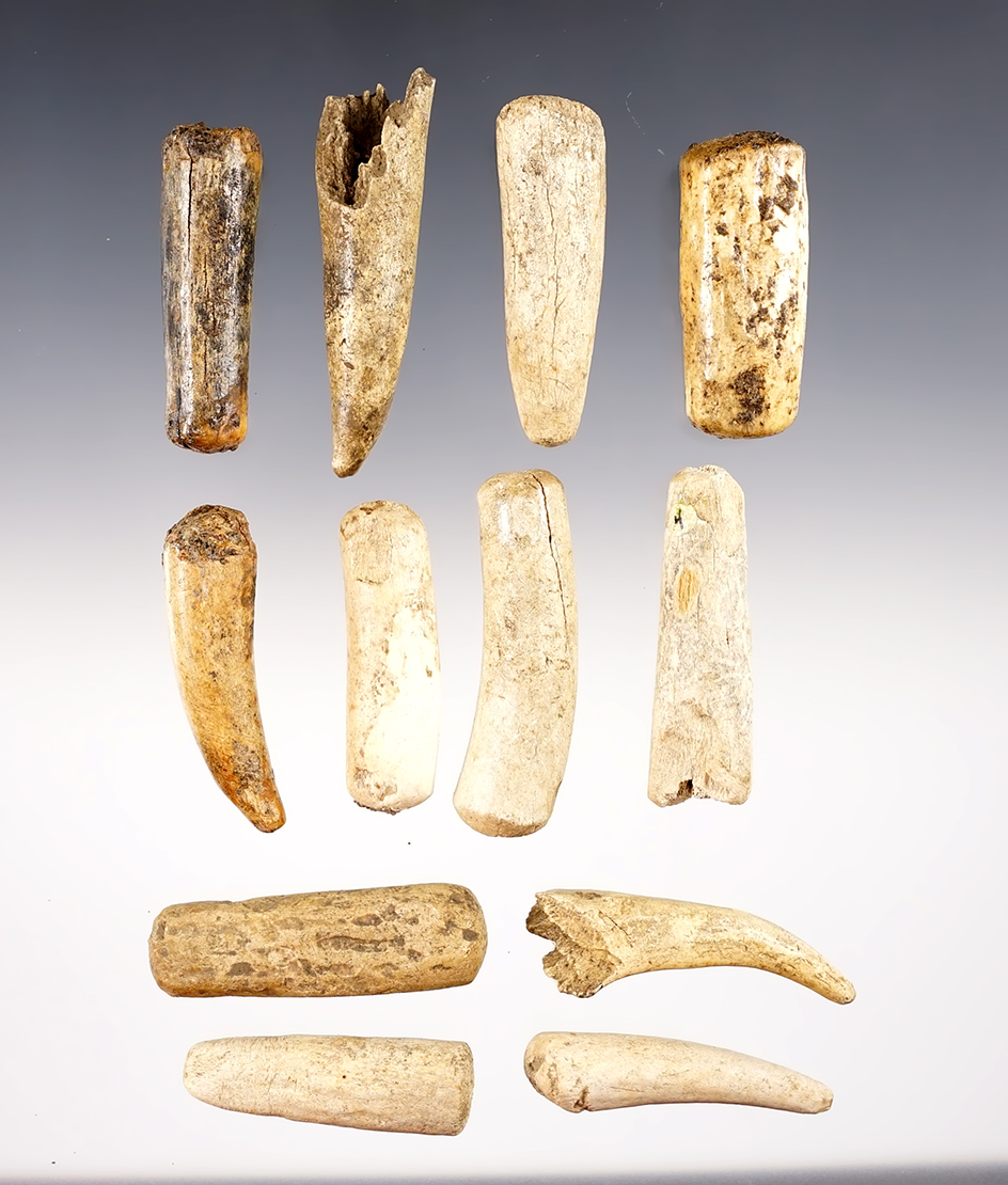 Set of 12 ancient Bone Knapping Tools. The largest is 2 3/8".