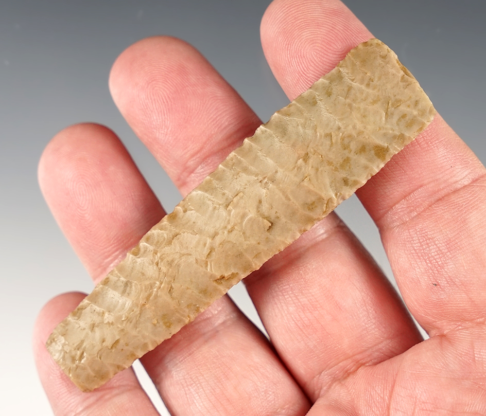 Rare 3 1/4" Eden mid section found in Texas. Unbelievably fine flaking.