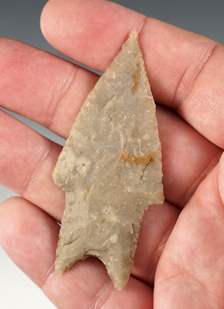 Fine 2 13/16" Pedernales found in Hays Co., Texas. Comes with an Arnold COA.