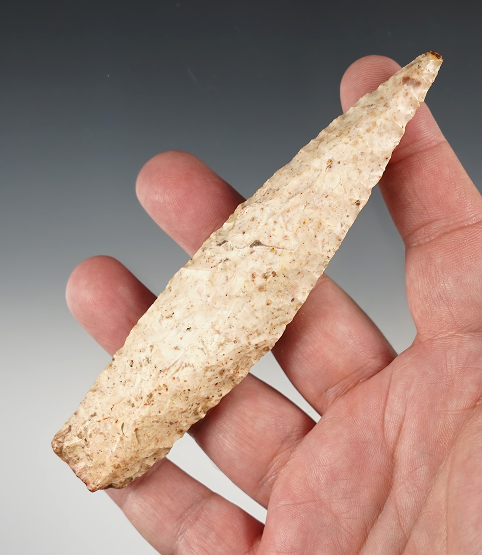 5 3/16" Missouri Sedalia in good condition.