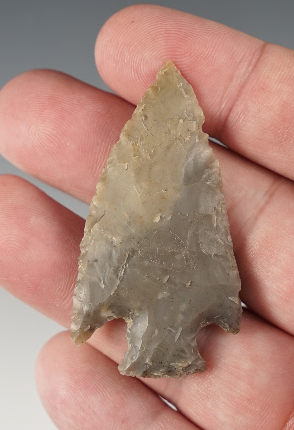Ex. Museum! 2 1/16" Cornernotch Point found in Texas. 
