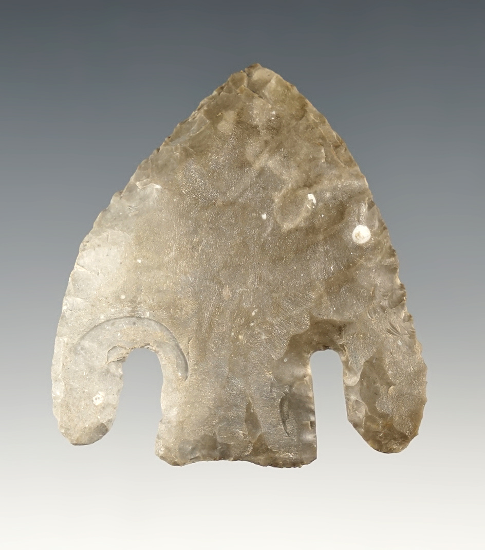 2 1/8" Calf Creek found in Boone Co., Arkansas by Arthur Claybaugh. Comes with a Partain COA.