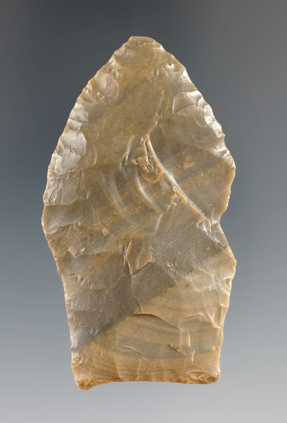 2 7/16" Pelican made from beautiful material found in Marshall Co., Oklahoma. Rogers COA.