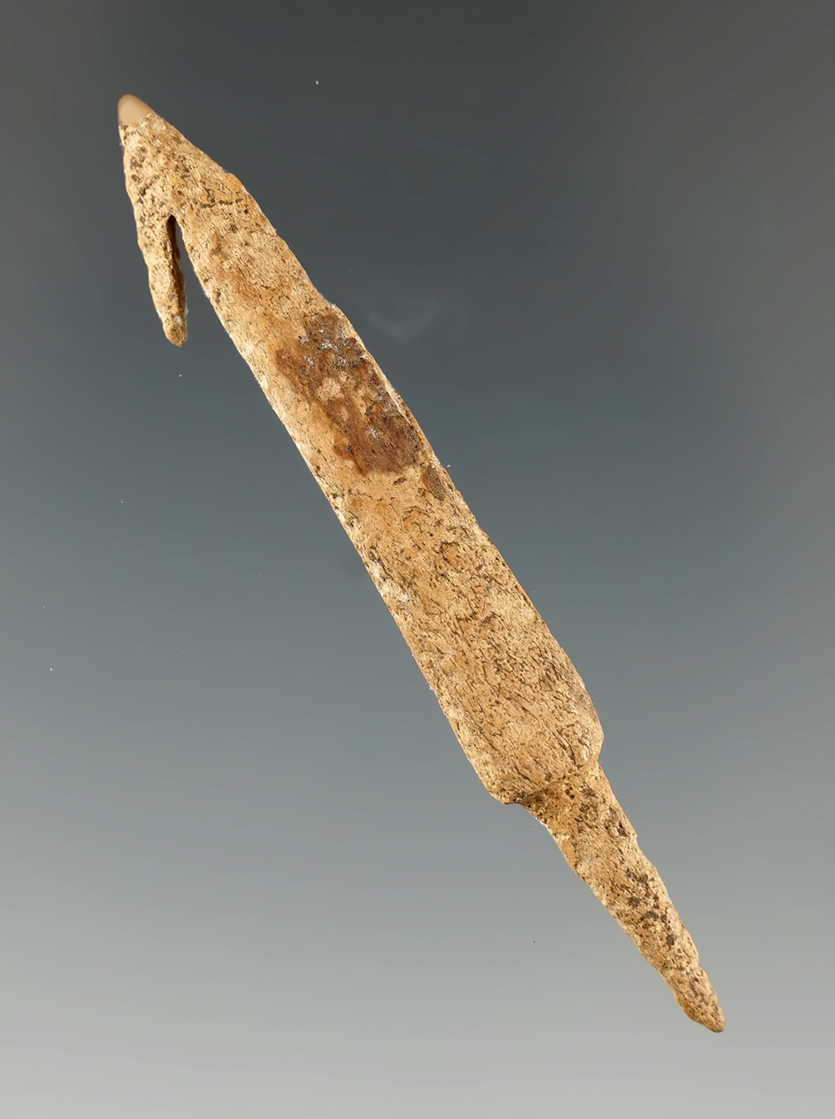 2 3/4" Inuit bone harpoon tip found in Alaska.