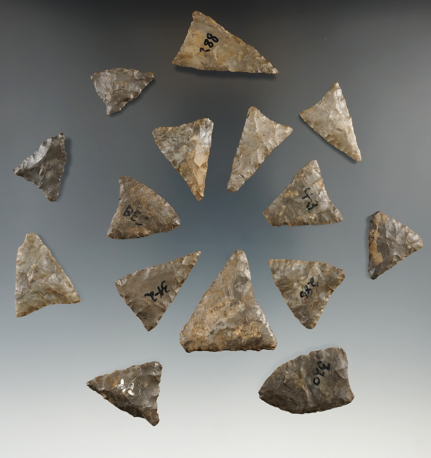 Group of 15 triangular points found in Allegheny Co., New York. Ex. Howdy Lang. Largest is 1 1/4".