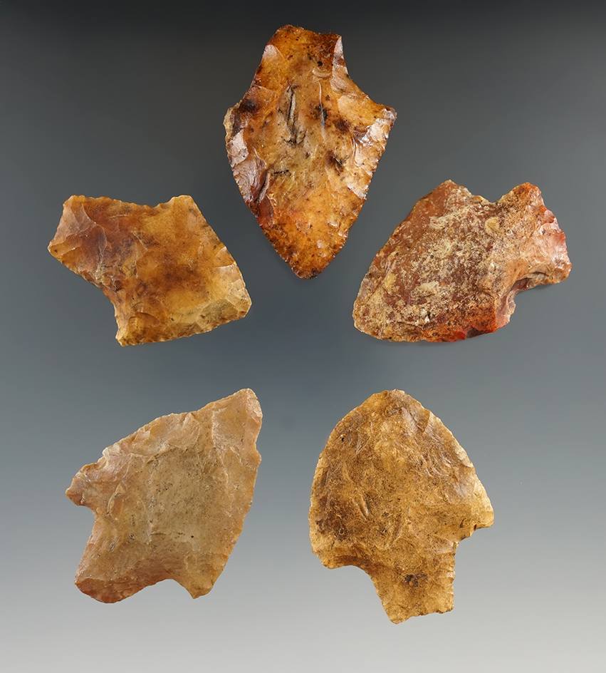 Set of five Florida points, largest is 2 1/16".