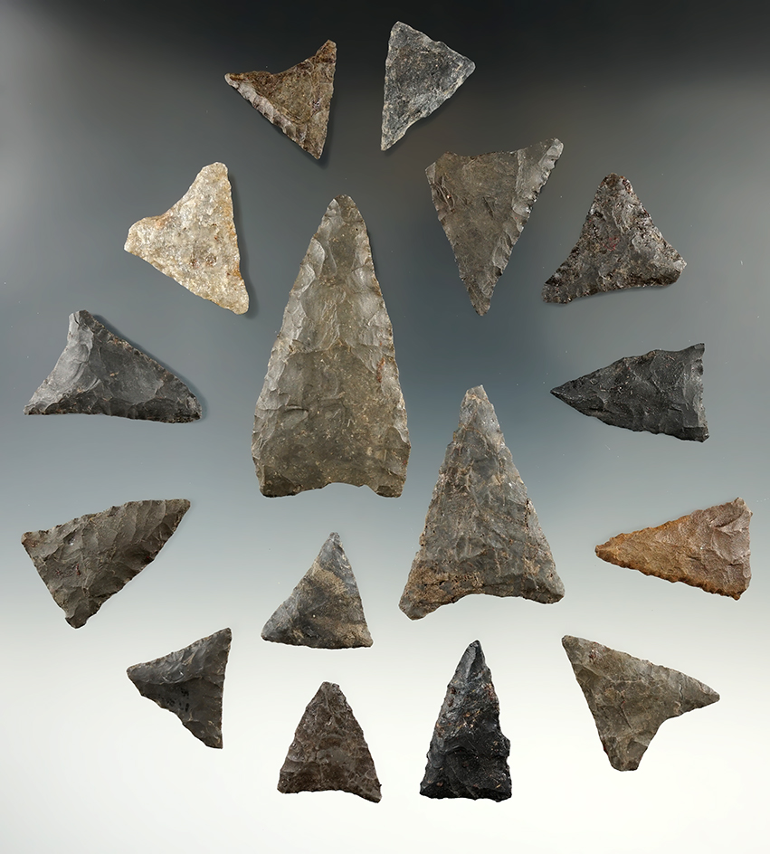 Set of 16 triangular points found near Winney Island New York. Largest is 2".