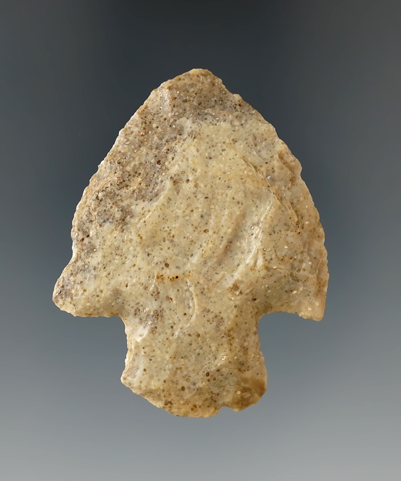 2" Snyders made from Quartzite, found in Green Co., Arkansas. Ex. Dr. Copeland. Bennett COA.