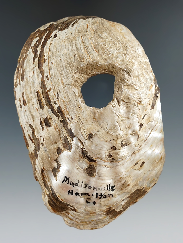4 5/8" clam shell Hoe found near Madisonville, Hamilton Co., Ohio.