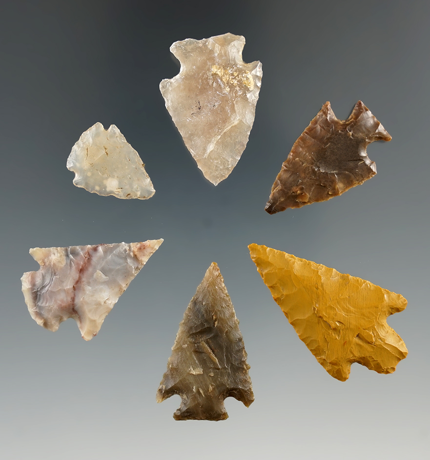 Set of six arrowheads found near the Columbia River, largest is 1 1/2".
