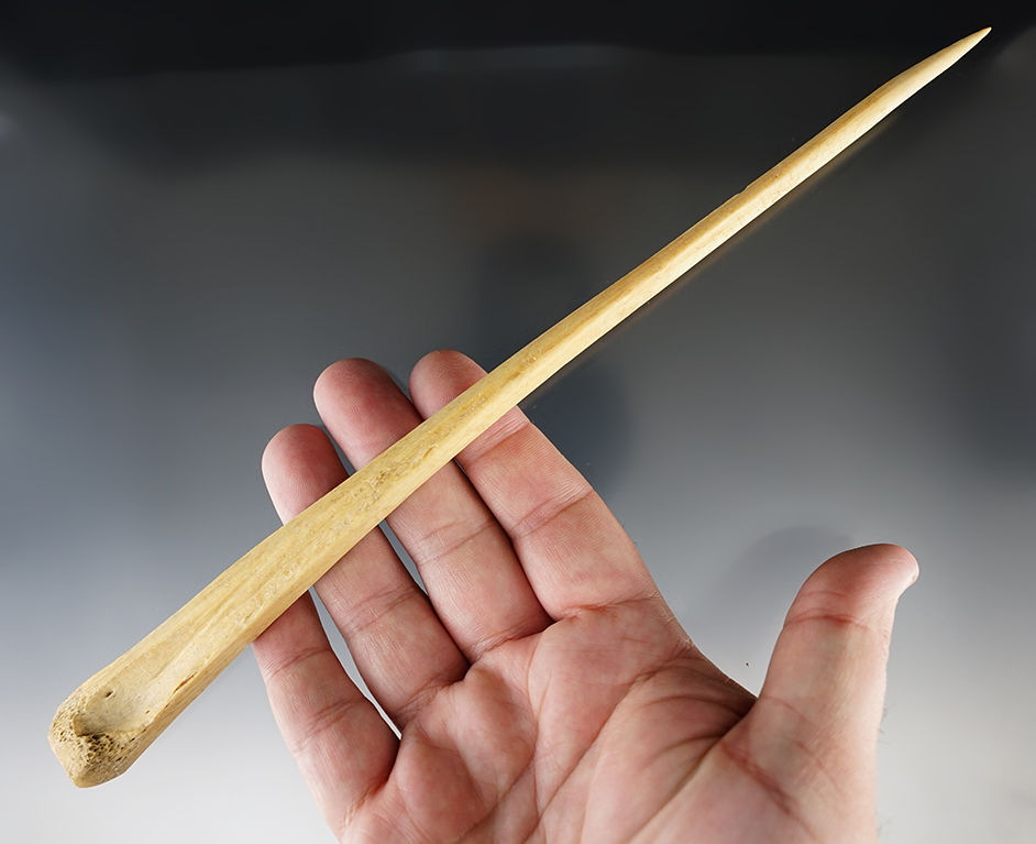 Large Bone Awl! This artifact is 10 3/4" long and miraculously remains unbroken! New Mexico.