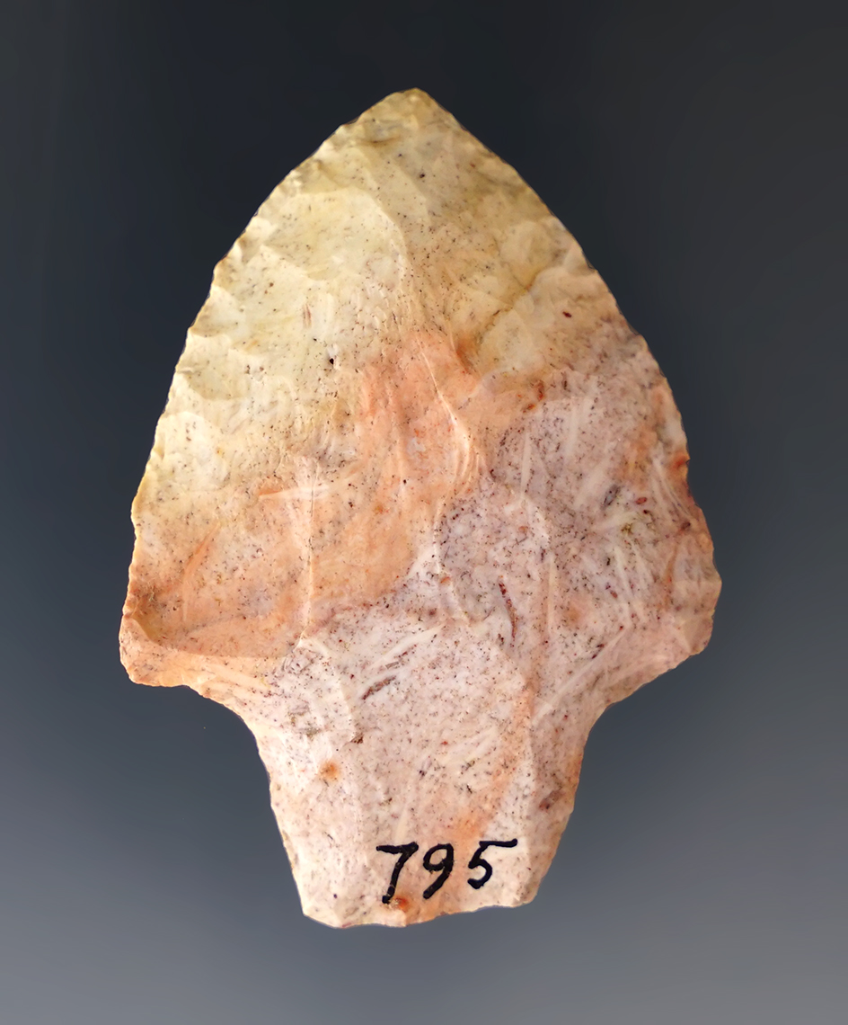 Colorful 2 1/8" Stemmed Knife found at the south end of Lake Newnan, Alachua Co., Florida.