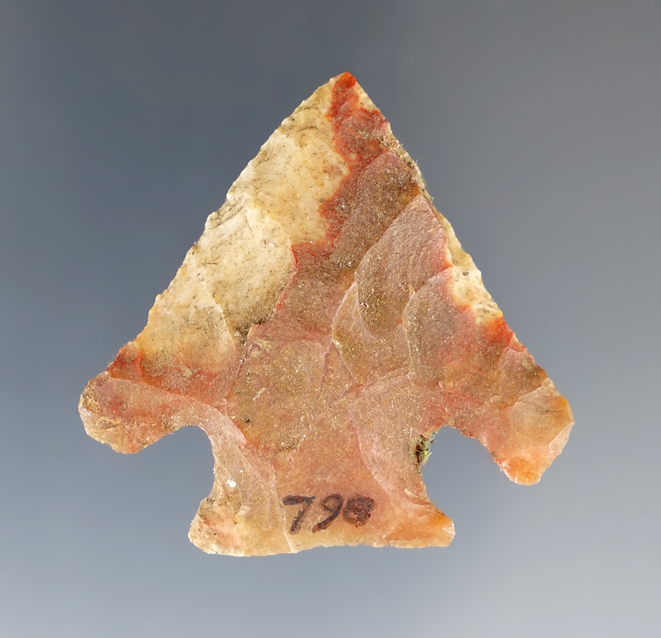 Well styled Florida arrowhead made from attractive multi-colored material - Alachua Co., Florida.