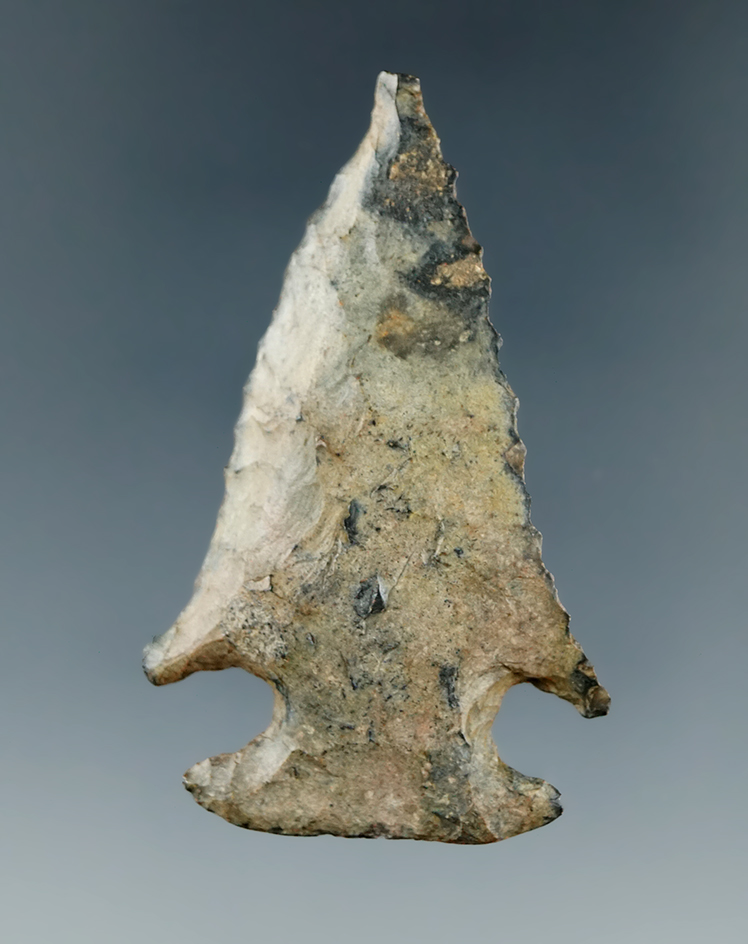 1 15/16" Bolen beveled found in Taylor Co., Florida.