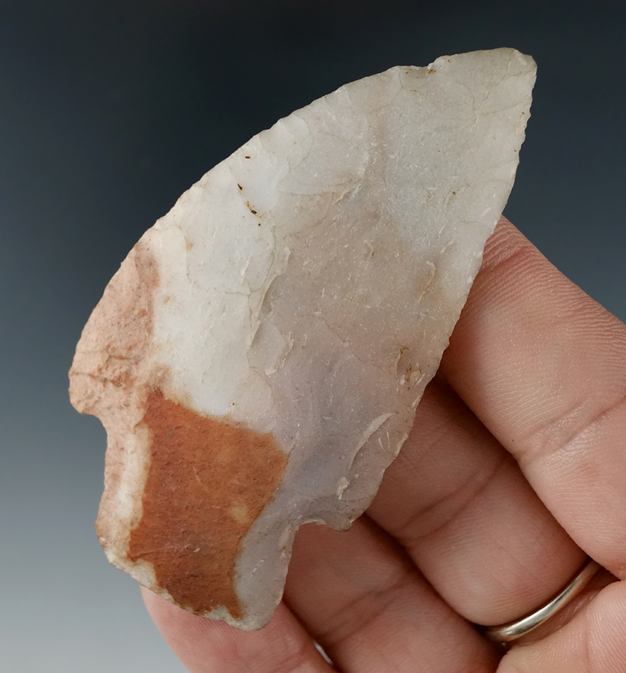 Uniquely styled 2 3/4" curved knife made from novaculite found in Arkansas.