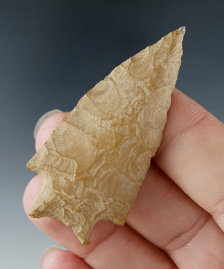 Excellent style and flaking on this high quality 2 1/16" point found on the Ellsworth Mosley farm in