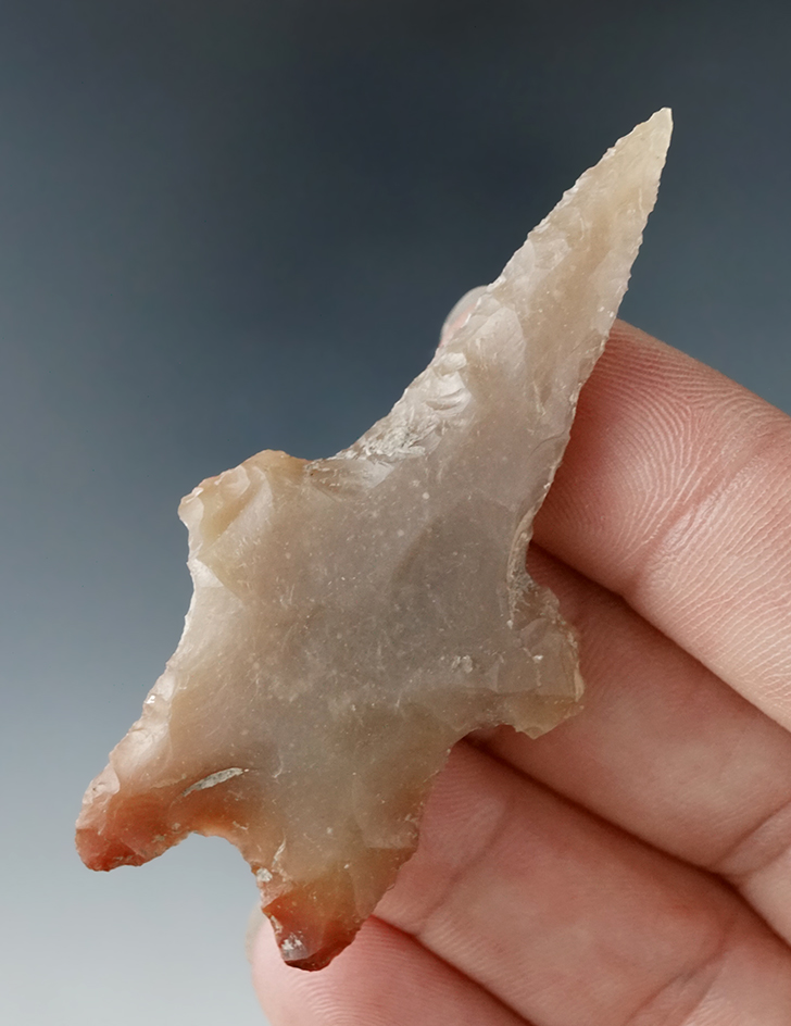 Well styled 2 7/16" Pedernales Drill found in Texas.