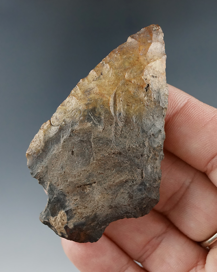 2 5/8" nicely styled knife found in Suwanee Co., Florida