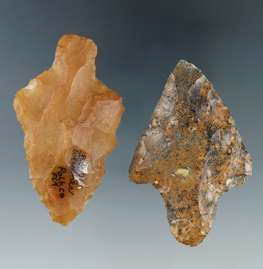 Pair of Florida arrowheads found in Pole and Alachua Counties. Largest is 2 1/4".