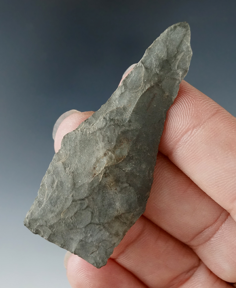 Very thin and unique 2 1/4"Pee Dee Pentagonal found in New Jersey