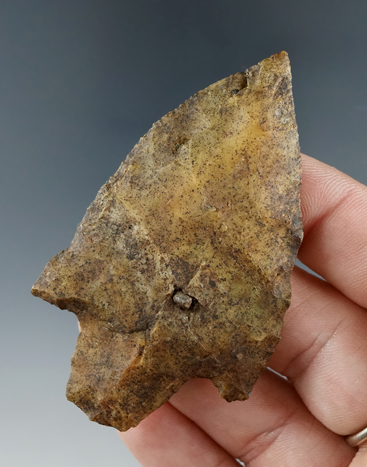 2 3/4" Levy type knife found in Hillsboro Co., Florida.