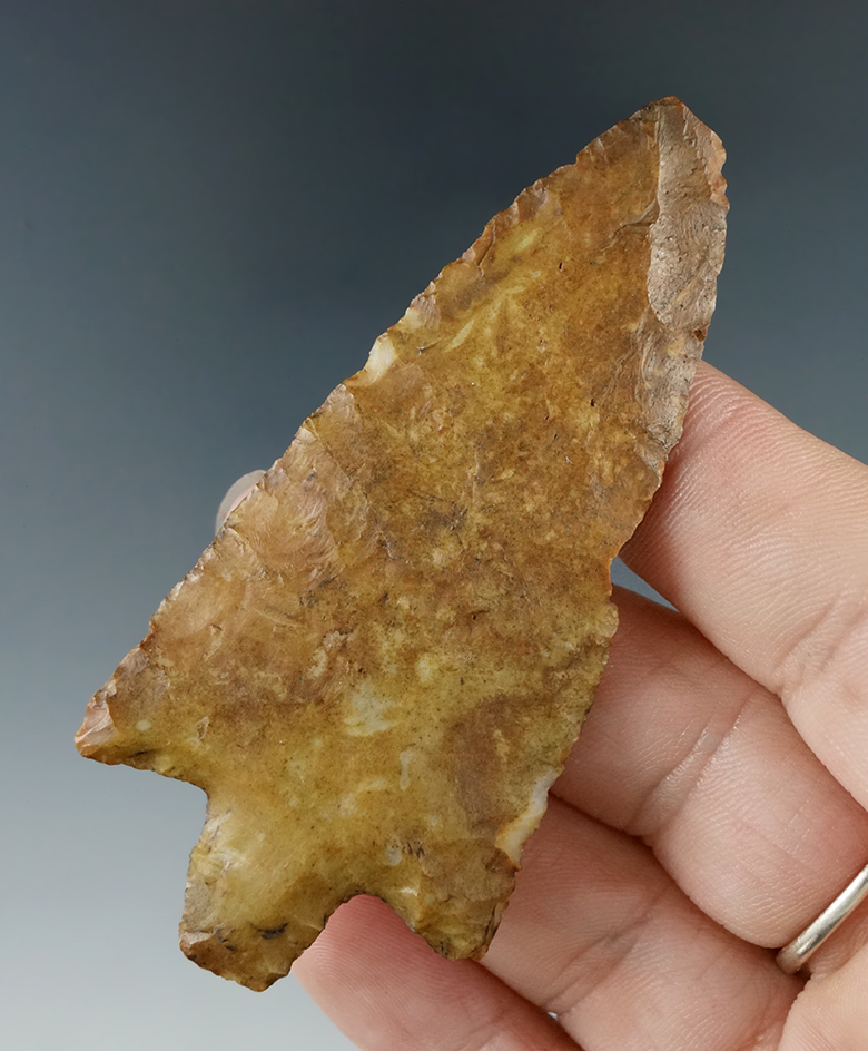 Heavily patinated 3" Newnan point found in Pinellas Co., Florida.