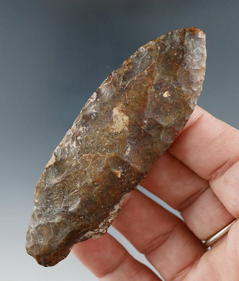 3 7/16" Thonotosassa found in Hillsboro Co., Florida.