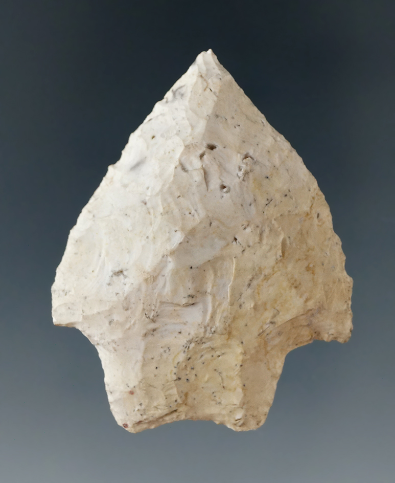 2" short base Arredondo found in Levy Co., Florida.